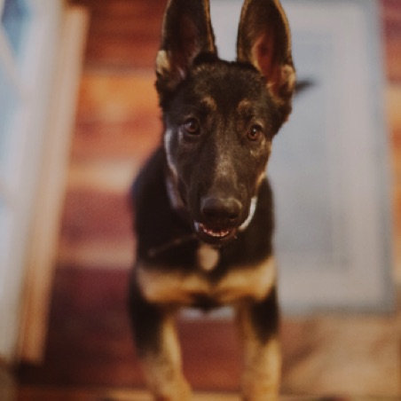 Let me up! Let me up!